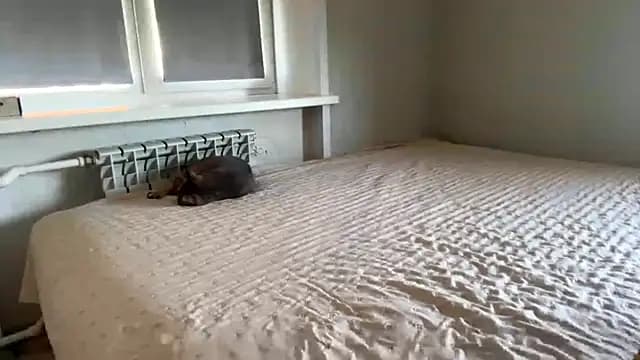 lisa_montana live cam