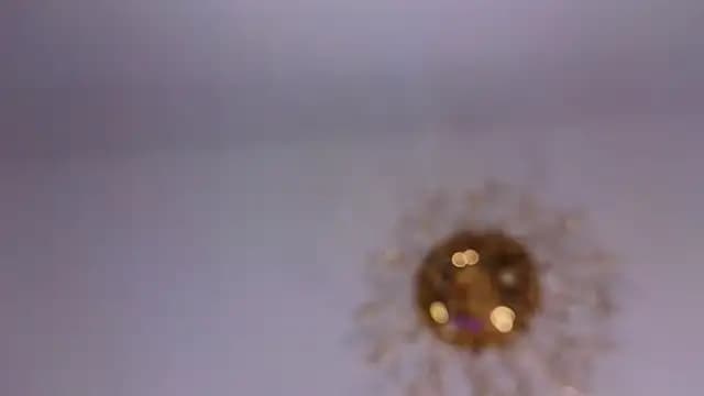 MariannaLomas live cam