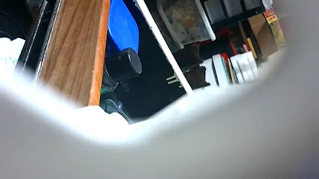0SEANX live cam