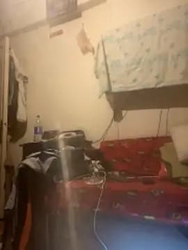 CLOUDY-Arabian_pharaon live cam