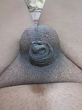 Sissydoggy live cam