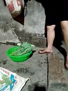 anhphi01 live cam