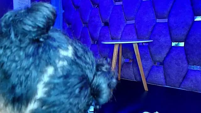AlaSmith live cam