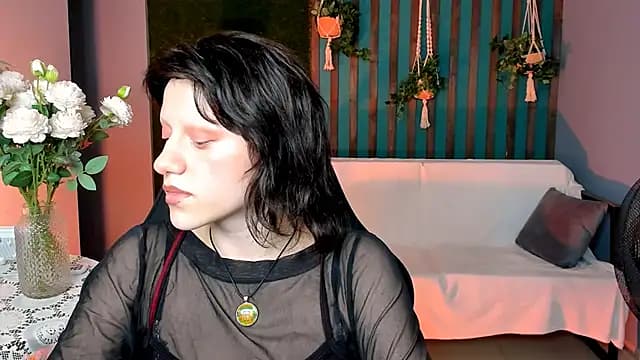 LidaDarknet live cam