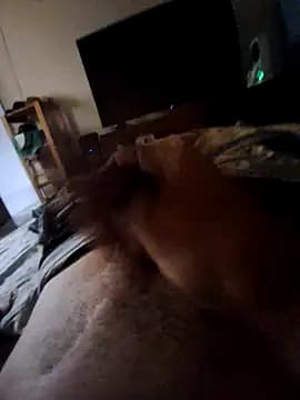 litoral012sp live cam