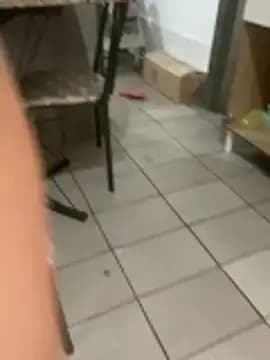 Mariaapimentinha live cam