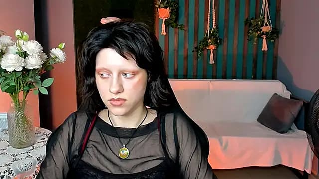 LidaDarknet live cam