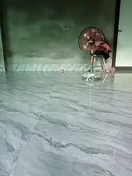 ross001 live cam