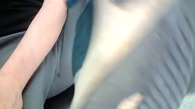 truble78 live cam