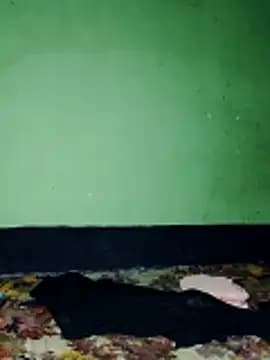 lovelyislam live cam