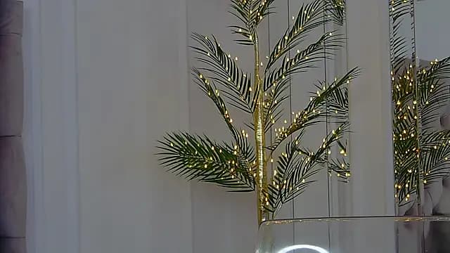 KimmDaviss live cam