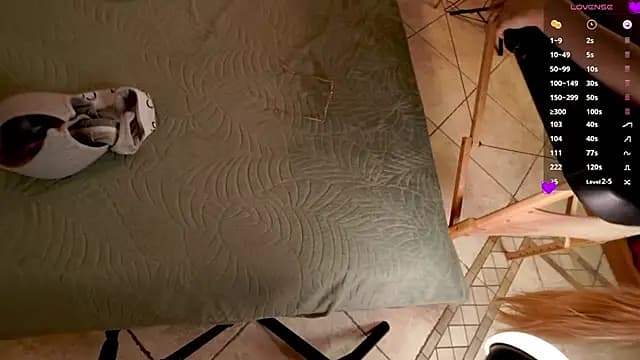 foxeslovefoxes live cam