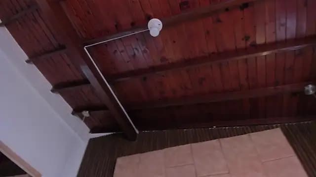 Amelia_Rossetti live cam