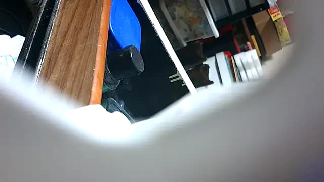 0SEANX live cam