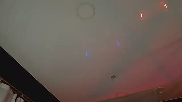 LisFowler live cam