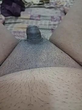 Sissydoggy live cam