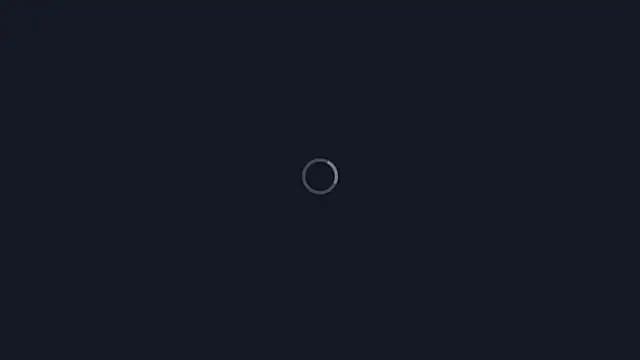 FlamingNinja live cam