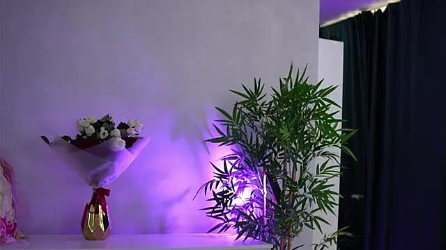ArtTeasee live cam