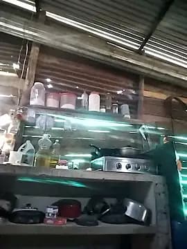 kailiani12 live cam