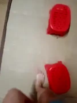 -Tara-a live cam