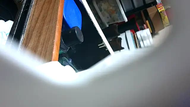 0SEANX live cam