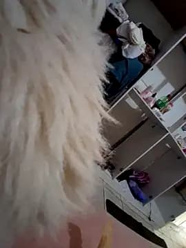 japosamel live cam