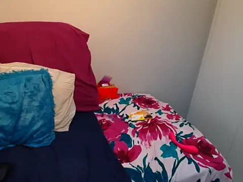 TashaBebe live cam