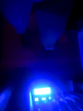 DomMONIKA live cam