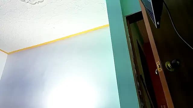 alissonandamy live cam