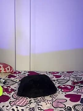 YasuriLovers live cam