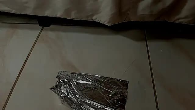 HollyGrey_ live cam