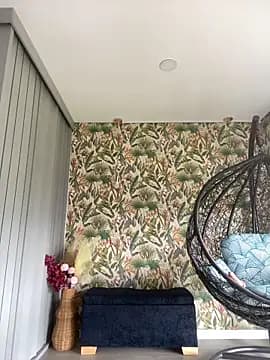 Ambar_Zaf live cam
