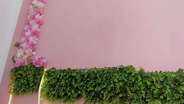 Mikasa_Horny live cam