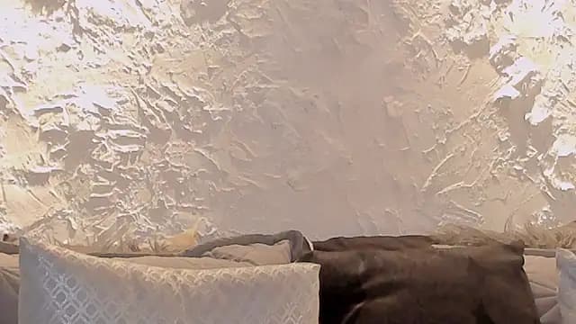 joselin_rouse live cam