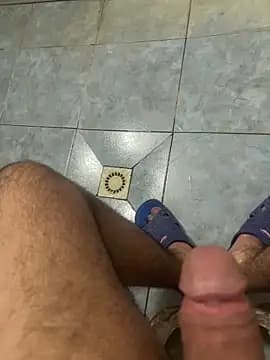 dragon_ndragos live cam