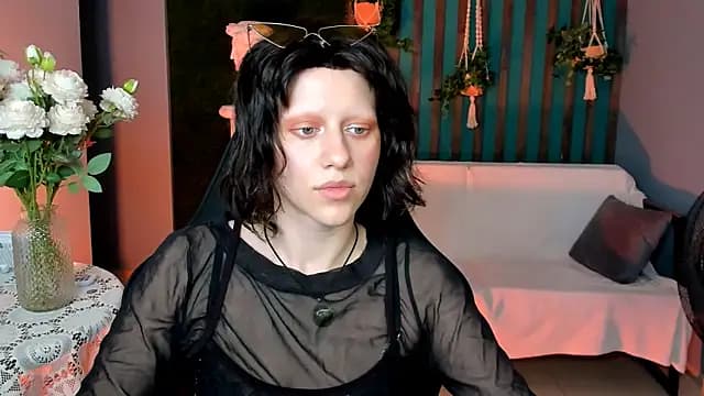 LidaDarknet live cam