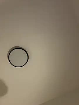 Vladamais live cam