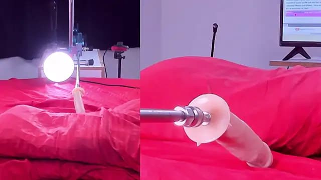 Lizz__Bela live cam