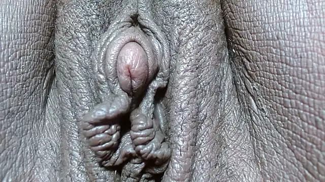 morenahott1 live cam
