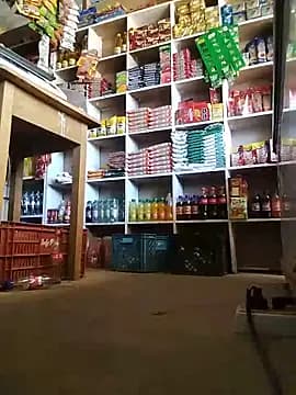 MIA-LARIOS live cam