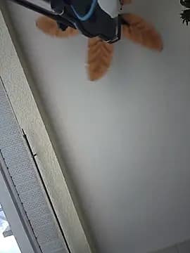 theclubist111 live cam