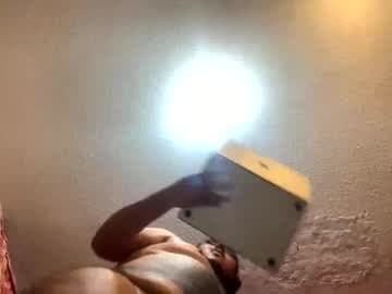 Giant Latino Bear live cam
