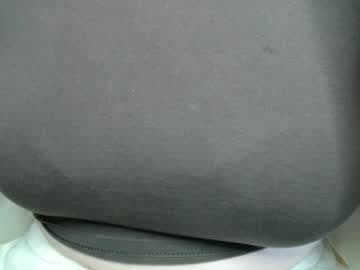 Bella live cam