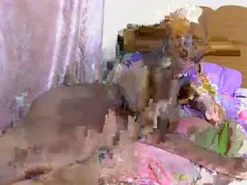 shantel lizz live cam