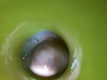 bigmoneycorey live cam