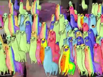 Booker Baxton live cam