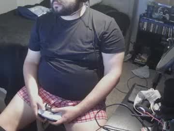 latin bear live cam