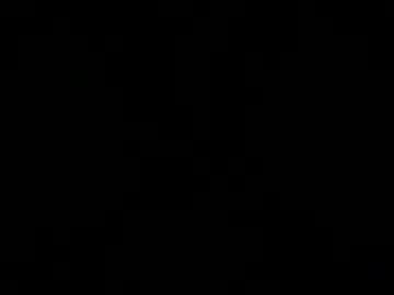 Bruno Is Hung live cam