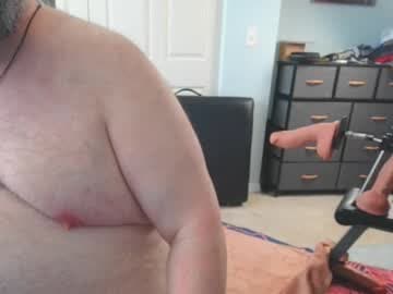 FloridaBear live cam