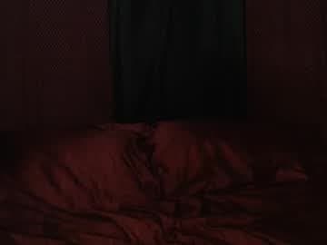 Fogbunny live cam